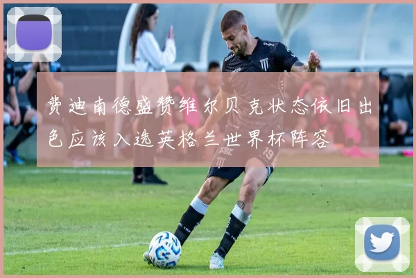 费迪南德盛赞维尔贝克状态依旧出色应该入选英格兰世界杯阵容