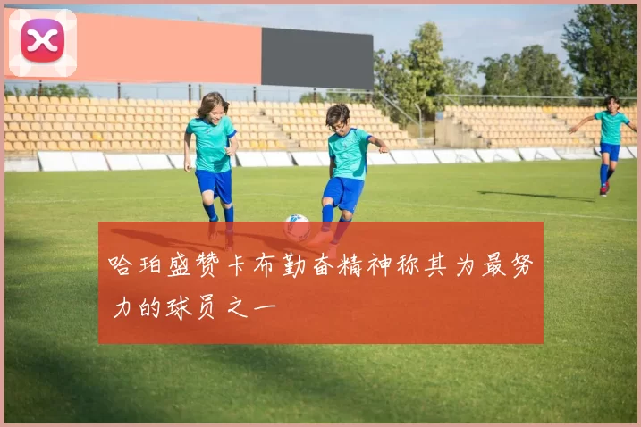 哈珀盛赞卡布勤奋精神称其为最努力的球员之一